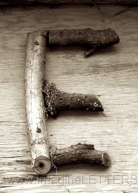 Wall_Art_Alphabet_Photography_Art_ 530.jpg